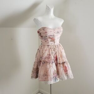 Zara Blush Rose Garden Swiss Dot Mesh Strapless Babydoll Dress